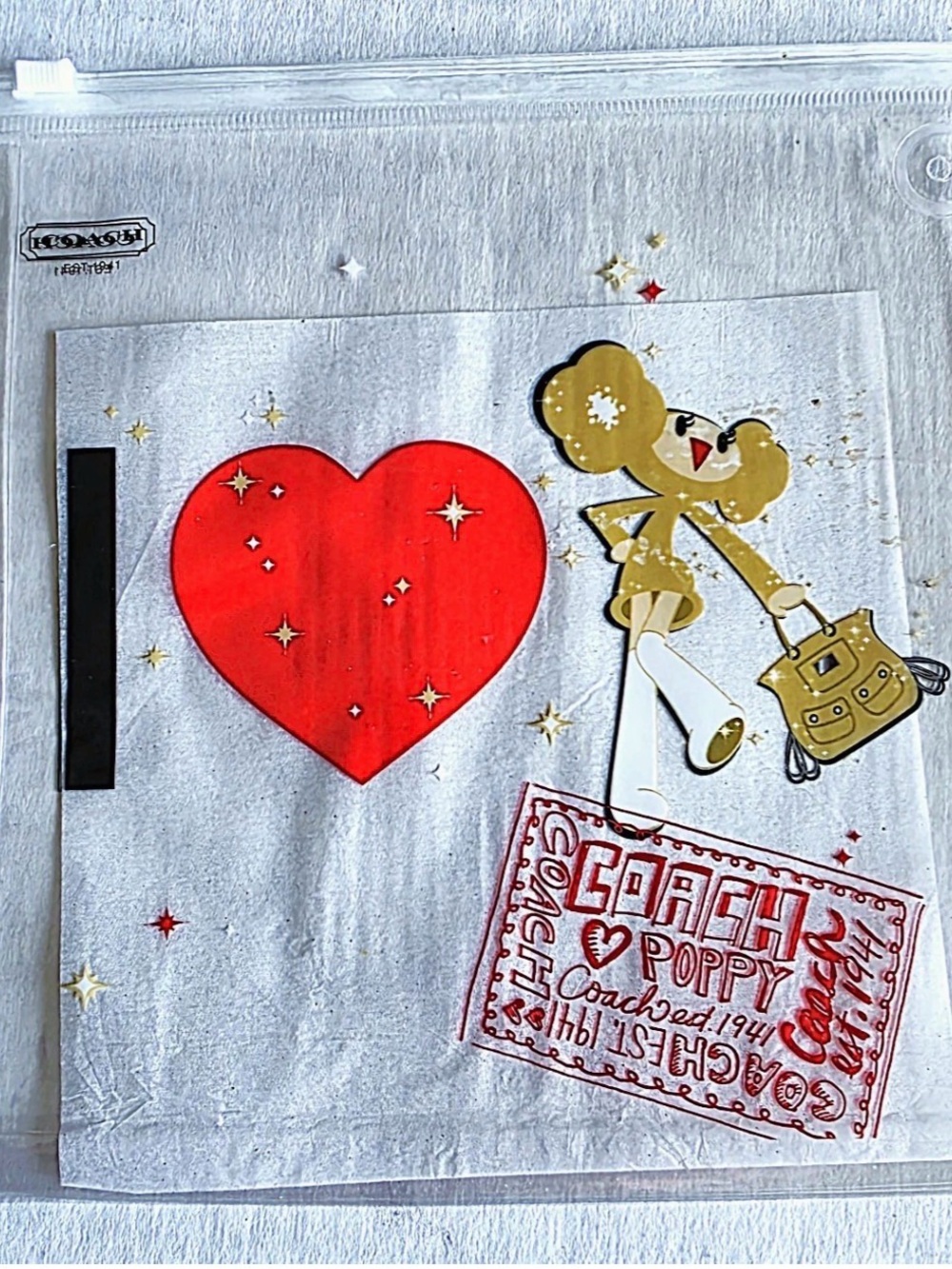 Rare Coach Poppy Goldie Clear Zipper Pouch Y2K Japan Exclusive